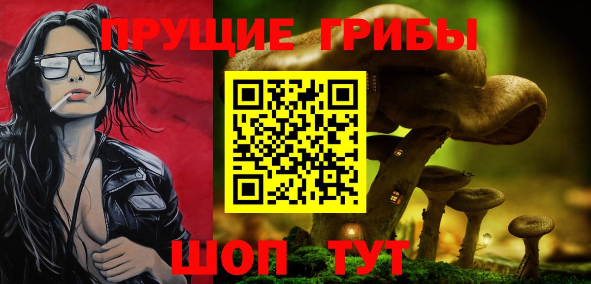 где можно купить наркотик  Вход с VPN  Артём  Галлюциногенные грибы мицелий 